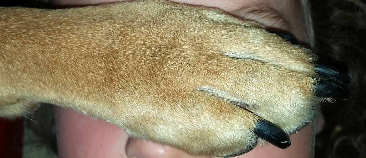 The Hand of Dog