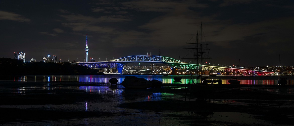 Vector Lights for Auckland Pride Festival