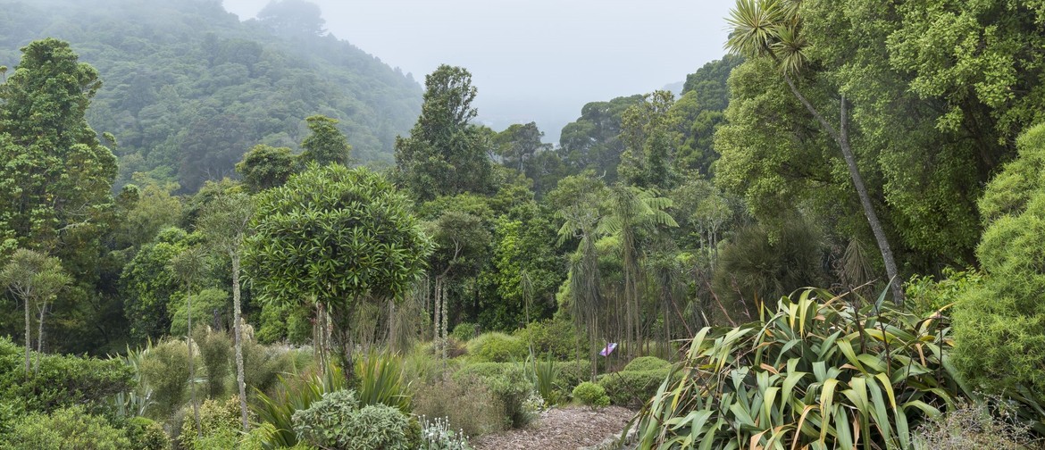 The 'Wonderful' World of Wellington Weeds