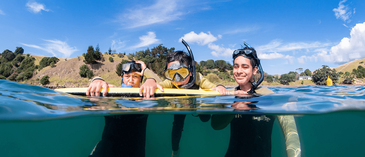 Motutapu Snorkel Day: CANCELLED