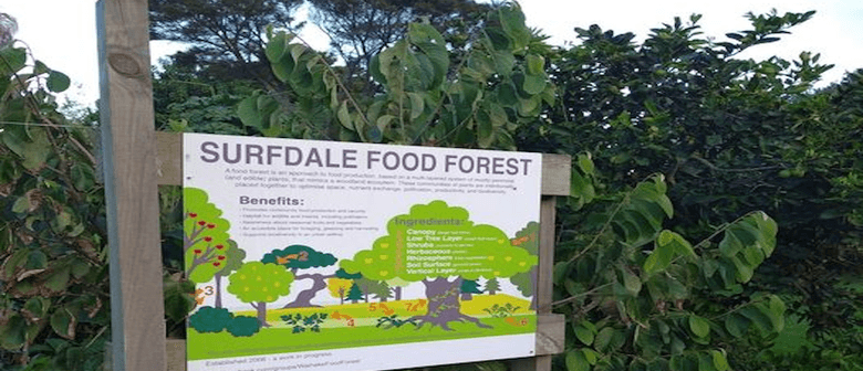 Surfdale Food Forest Working Bee – EcoFest