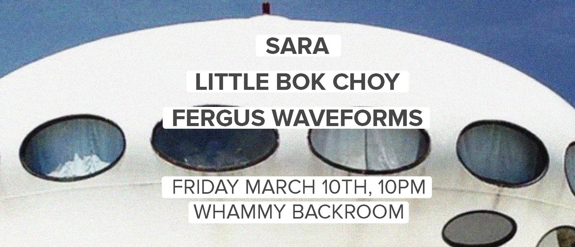 Small Rave - Sara/ Little Bok Choy/ Fergus Waveforms