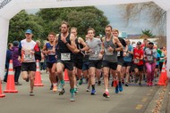 Manawatu Striders - Property Brokers Marathon & HalfMarathon