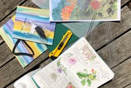 Make & Start a Nature Journaling Sketchbook