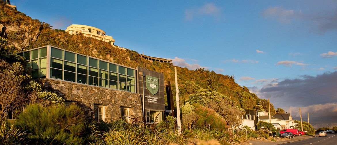 Wellington University Coastal Ecology Lab - Annual Open Day