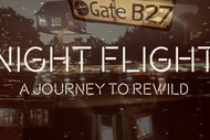 Night Flight – EcoFest