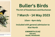 Image for event: Buller’s Birds: The Art of Keulemans and Buchanan