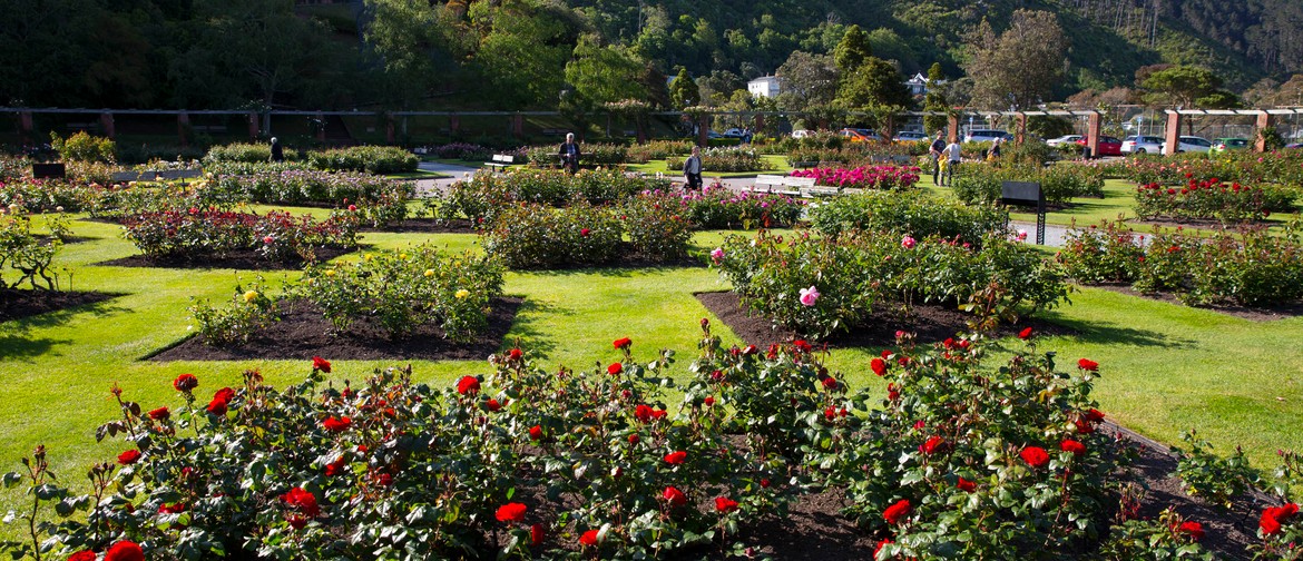 The Rose Garden Area and Its Amazing Story - Guided Walk