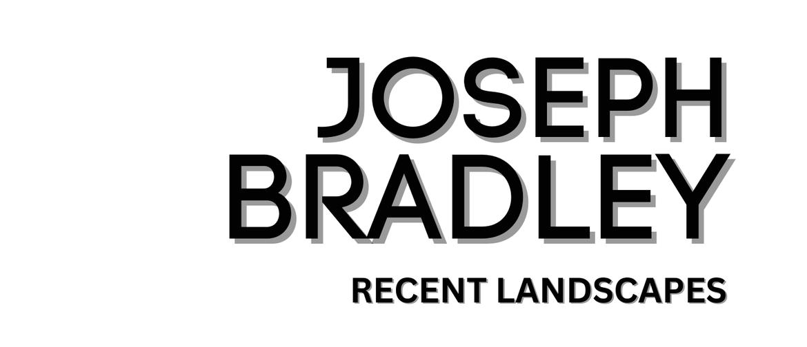 'Recent Landscapes' - Joe Bradley