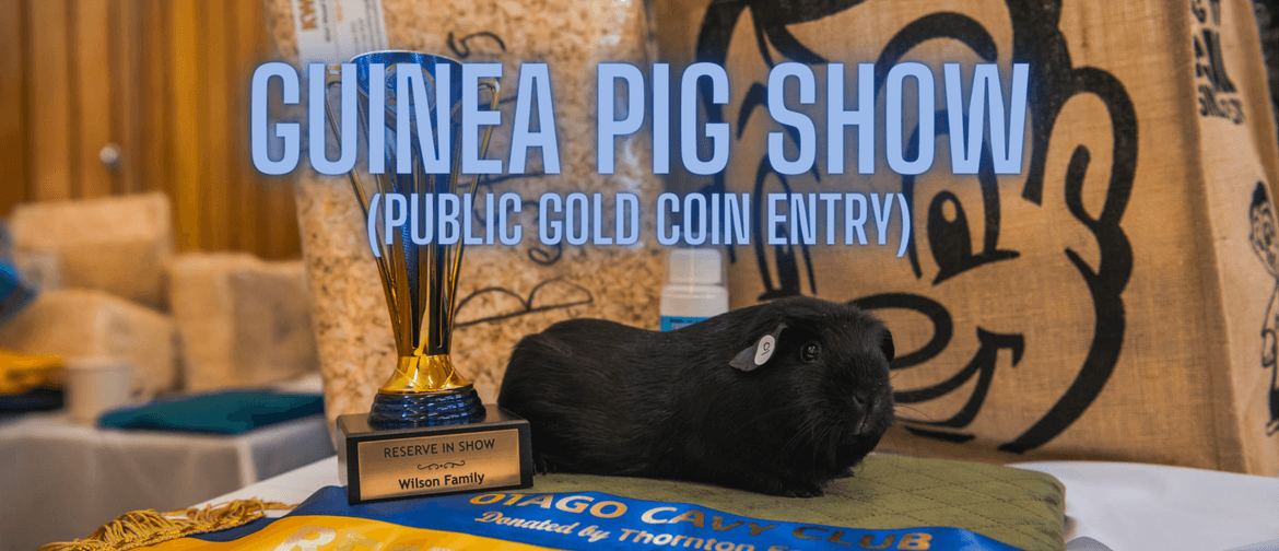 Timaru First Guinea Pig Show