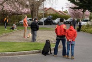 Outdoor Dog Training In the City