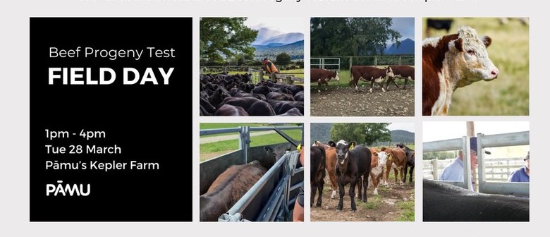B+L NZ Genetics Beef Progeny Test Field Day
