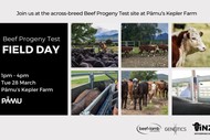 B+L NZ Genetics Beef Progeny Test Field Day