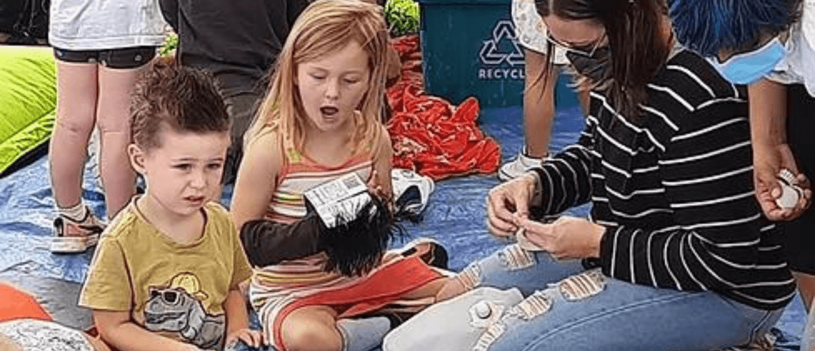 Make You Own Puppet From Recyclables!
