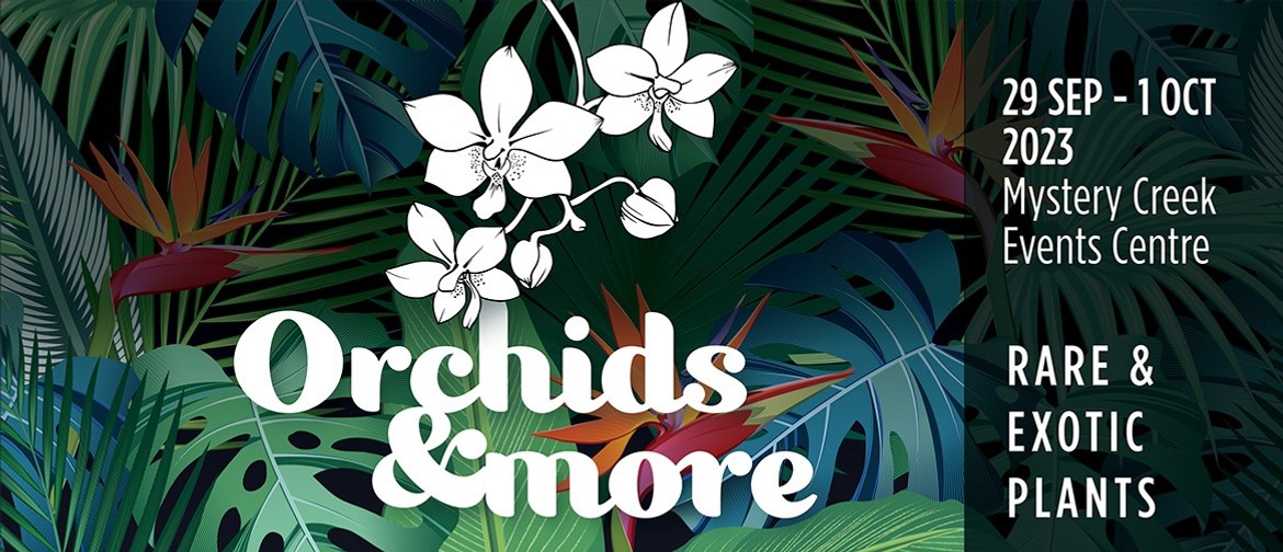Orchids & More
