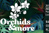 Image for event: Orchids & More