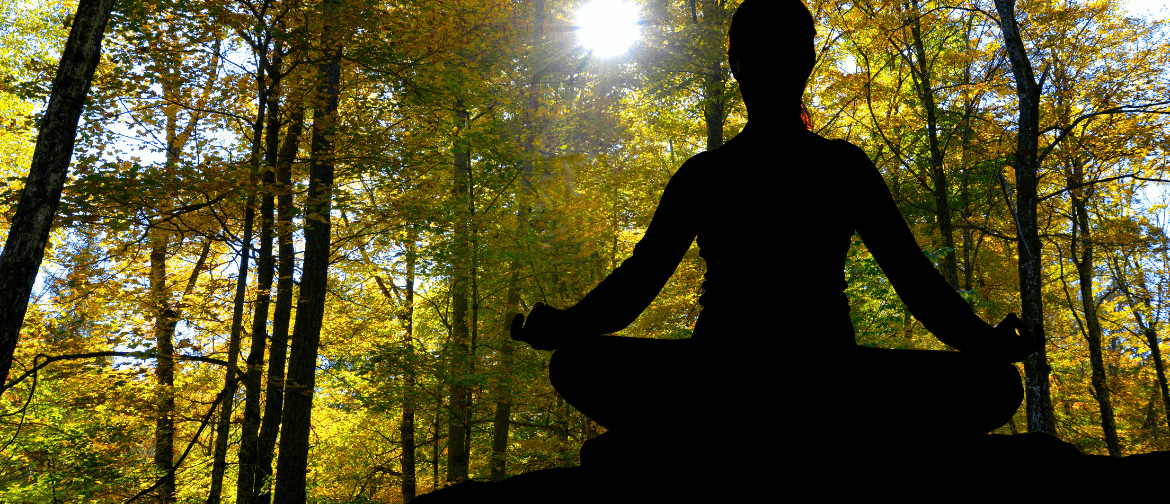 Meditation in the Maunga
