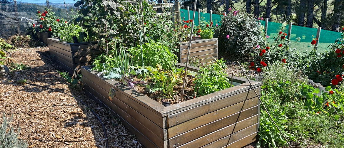 DIY Drought-Tolerant Garden Beds