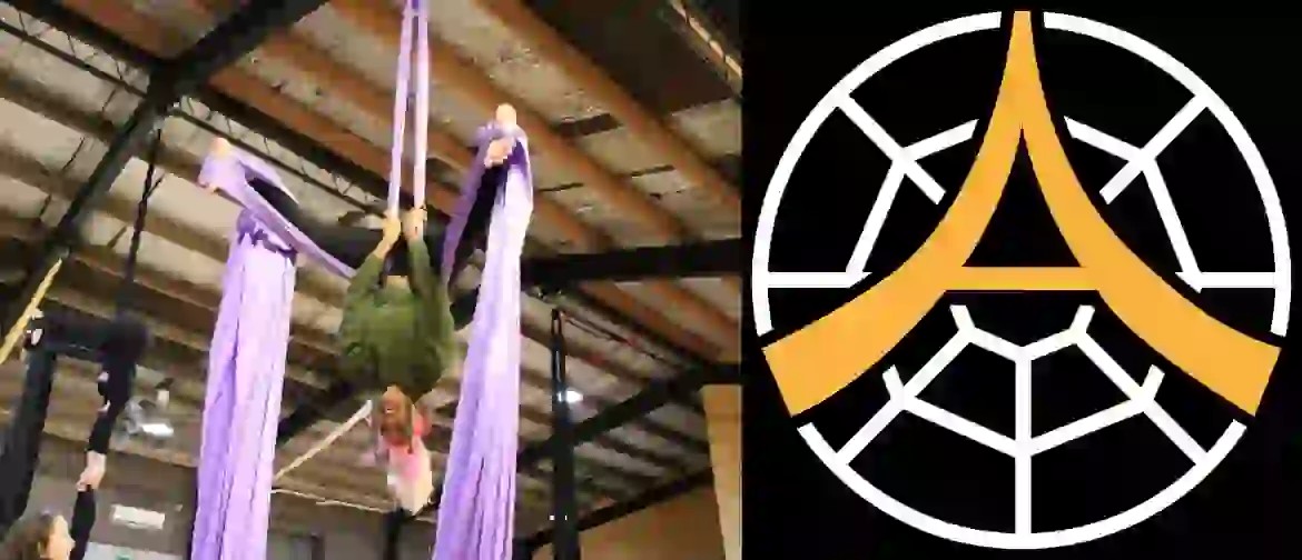 Aracnation - Intro to Aerial Silks - 6 Week Course