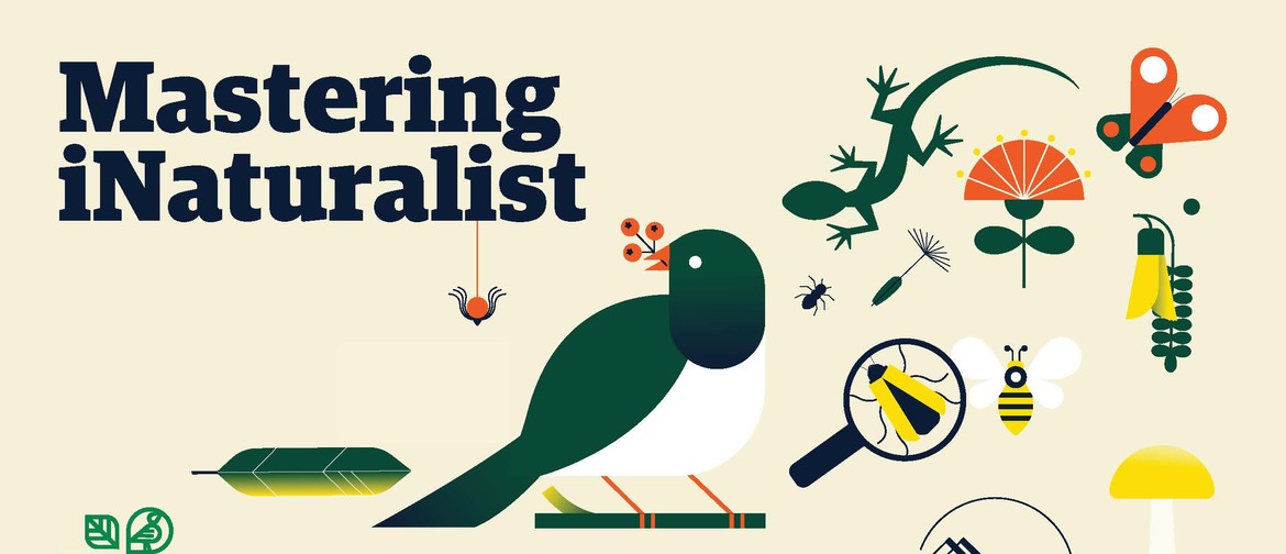 Mastering iNaturalist - The Instagram for nature lovers