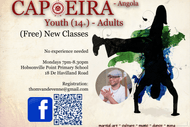 Capoeira Angola Classes