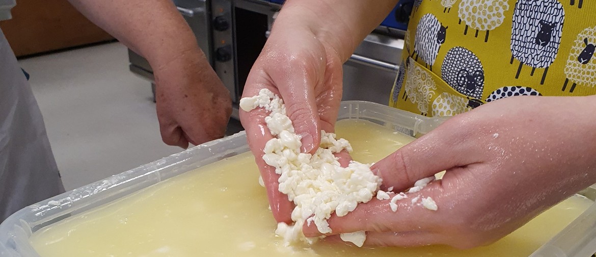 Cheese Making - Halloumi and Ricotta (Hands-on)