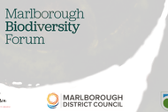 Image for event: Marlborough Biodiversity Forum