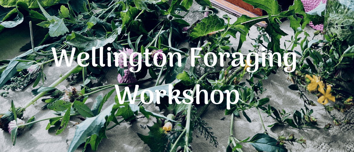 Wellington Foraging Workshop - Identify Wild Edible Plants