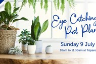 Eye Catching Pot Plants