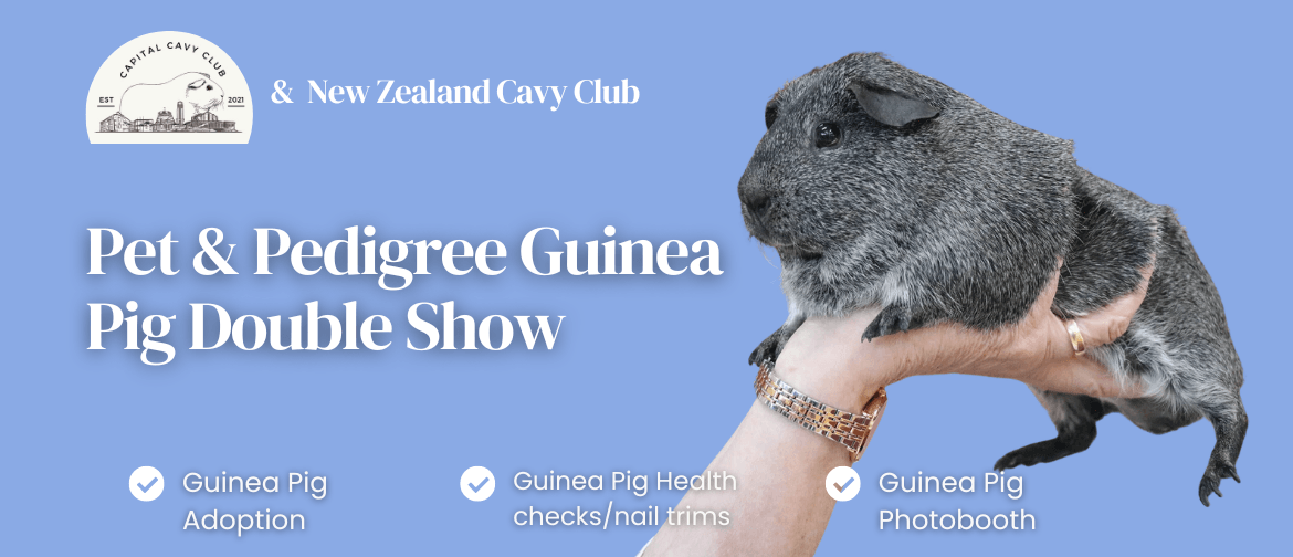 Capital Cavy Club Pet & Pedigree Guinea Pig Show