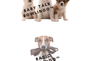 Basic Bowlingo™ Adult Dog Training Class (8mnths +)