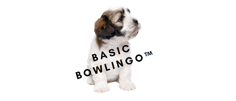Basic Bowlingo™ Puppy Training Class (4 - 8 mnths)