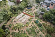 Food Forest Planning and Planting Weekend Course