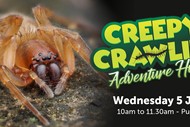 Creepy Crawlies Adventure Hunt