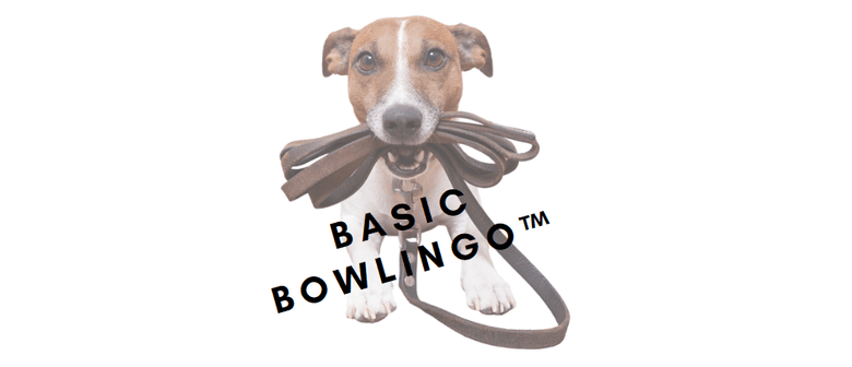 Basic Bowlingo™ Dog Training Class (4 mnths +)