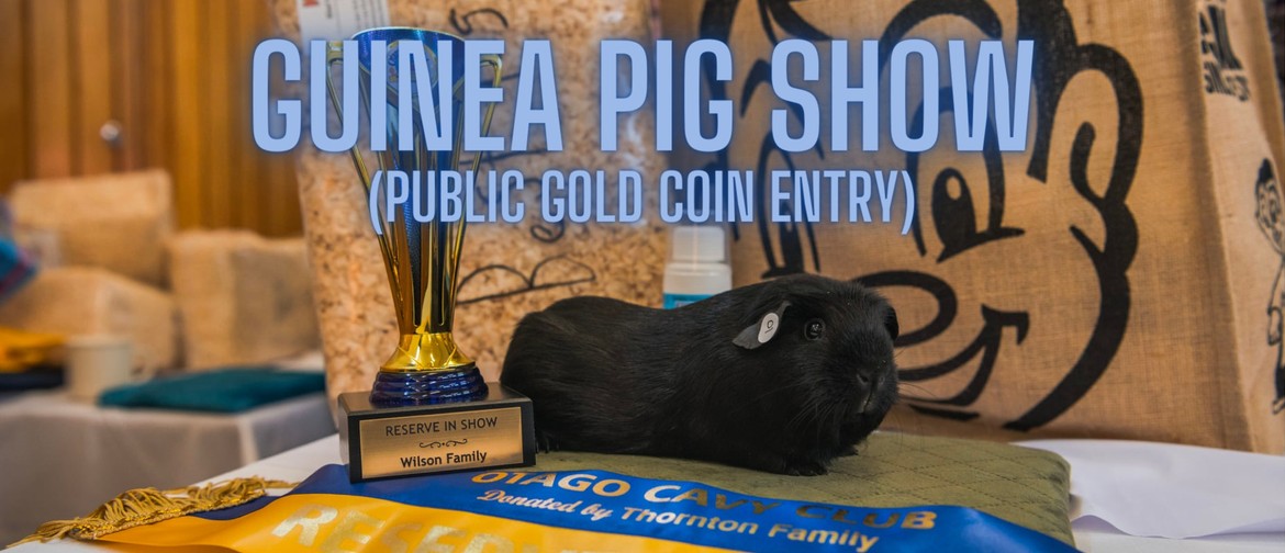 Guinea Pig Show