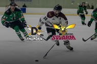 Ice Hockey: Botany Swarm vs. Phoenix Thunder
