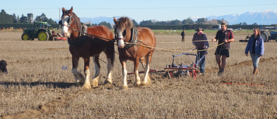 Ploughing Competition – Horse, Vintage and Silver Plough Ploughing Competition – Horse, Vintage and Silver Plough
