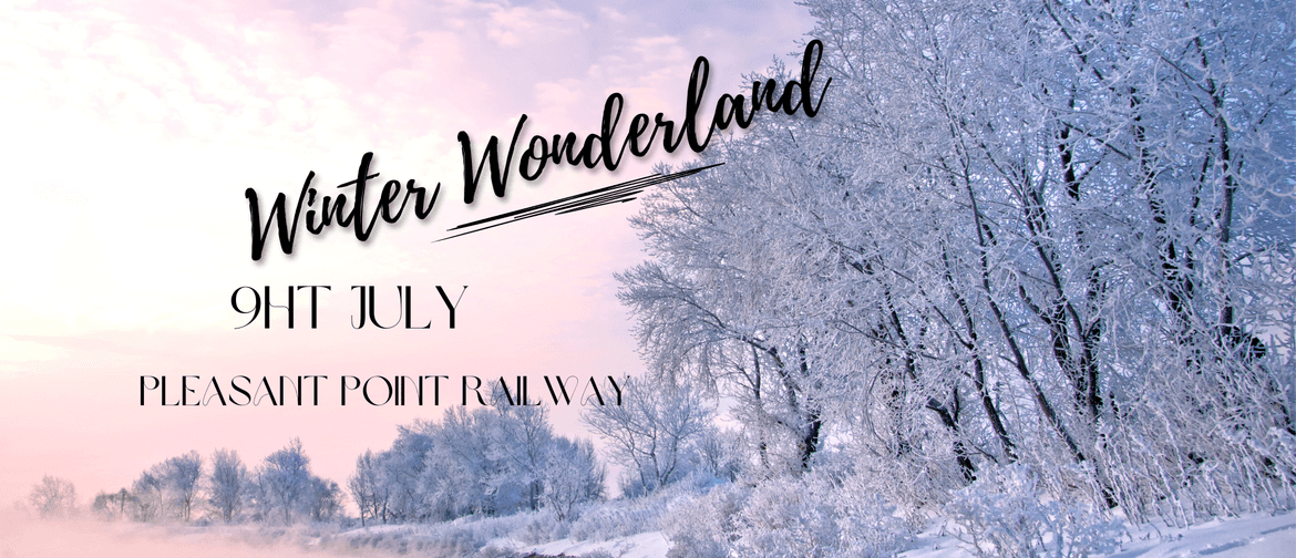 Winter Wonderland at Pleasant Point Railway