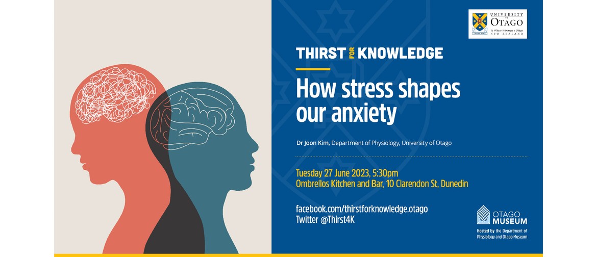 Thirst for Knowledge: How Stress Shapes Our Anxiety