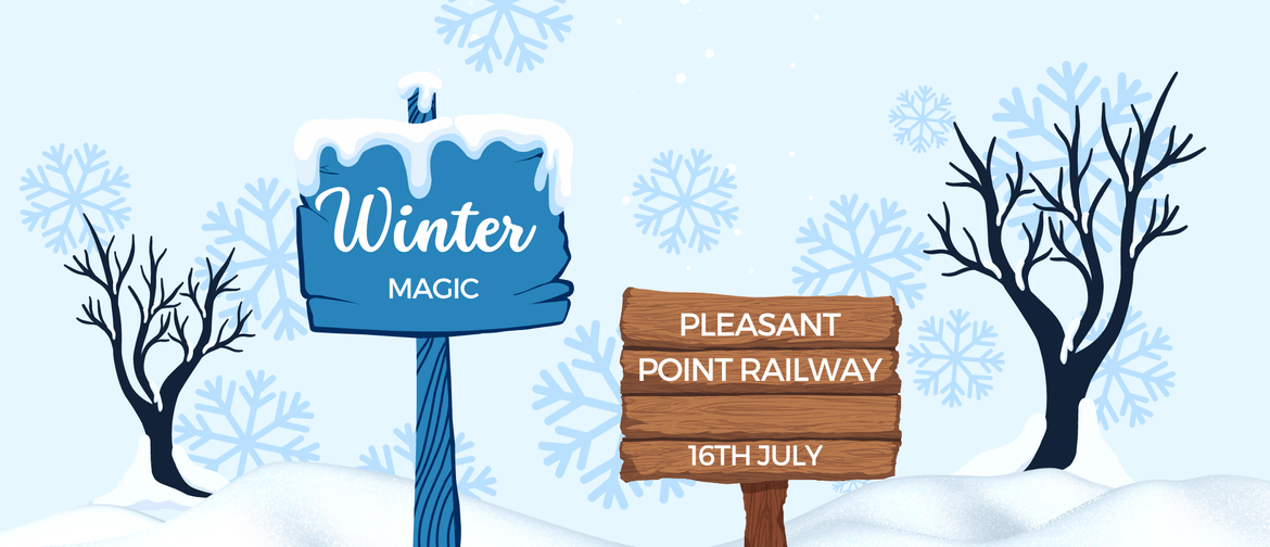 Winter Magic At Pleasant Point Railway