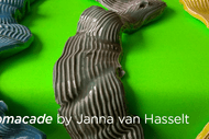 Chromacade: Janna van Hasselt