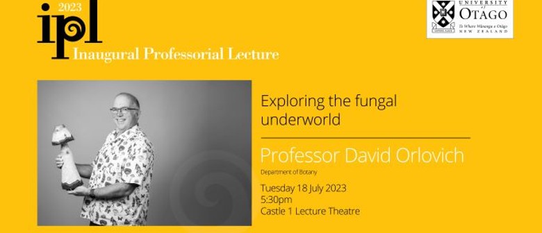 Inaugural Professorial Lecture -Professor David Orlovich