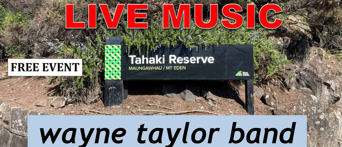 Wayne Taylor Band - Gig at Tahaki Reserve, Maungawhau