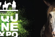 Otago Equine Expo 