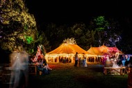Image for event: The Enchanted Ball Supporting Te Mata Park