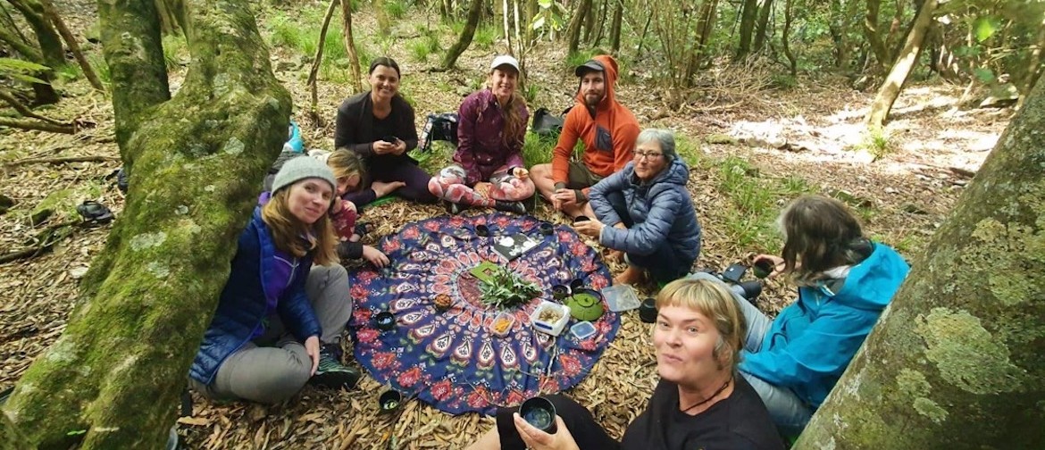 2hr Forest Bathing Experience with Mish 2hr Forest Bathing Experience with Mish