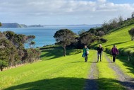 Image for event: Walk 3 – The Paroa Bay Vineyard – Friday Wine and Dine