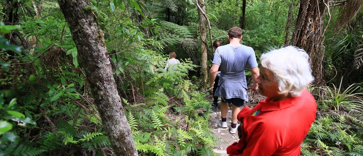 Walk 7 - Omata Estate Vineyard from Okiato - 3km