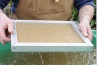 Introduction to Native Plant Papermaking